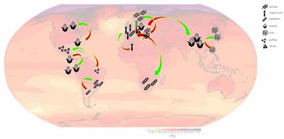 Plant responses to climate change, how global warming may impact on food security: a critical review